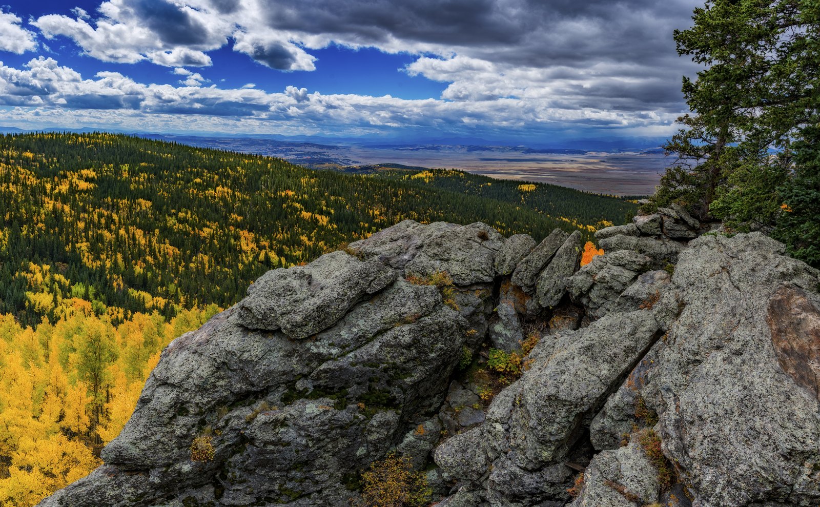 Gold Beyond the Ridge