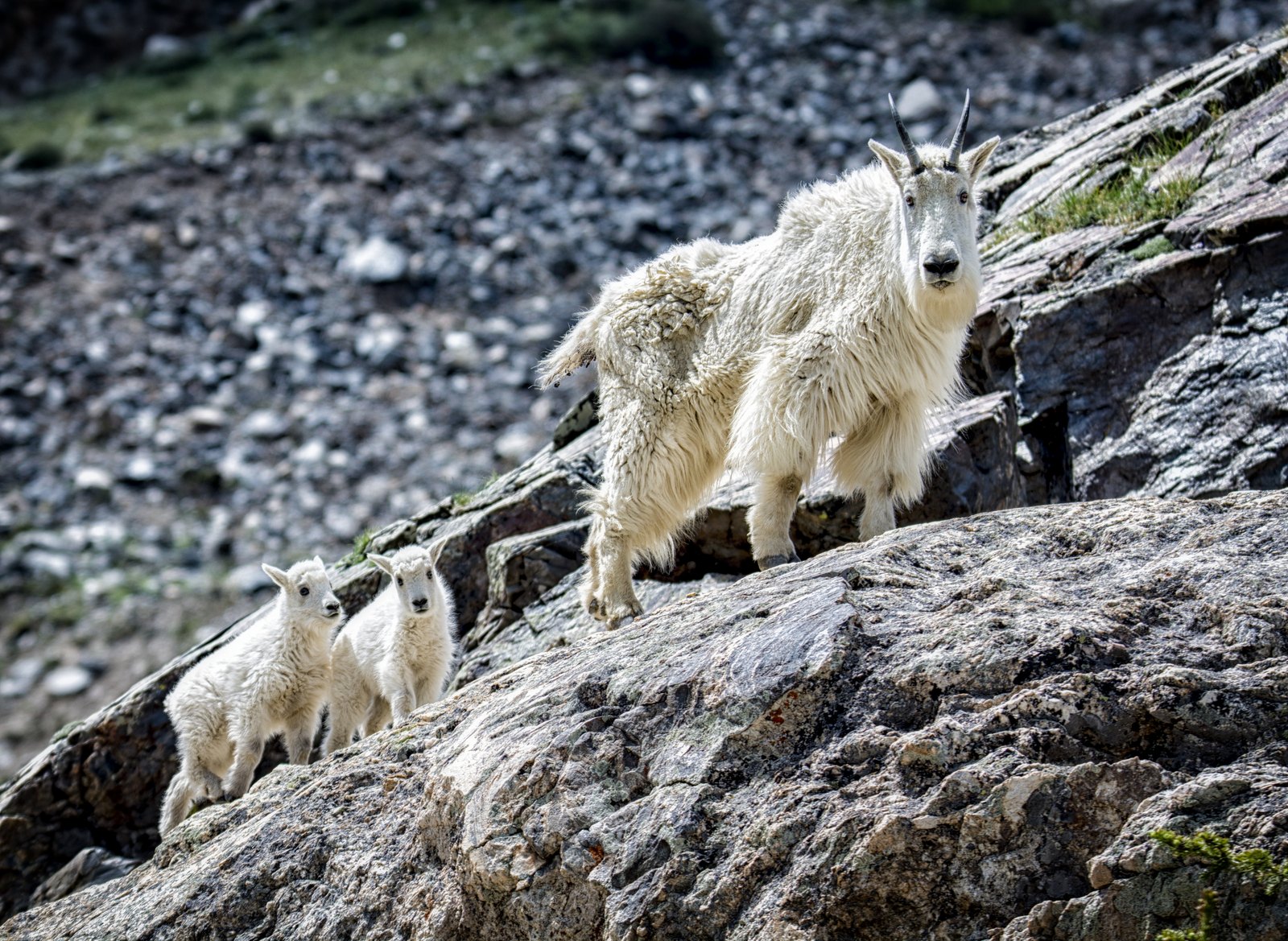 Learning the Steep Way