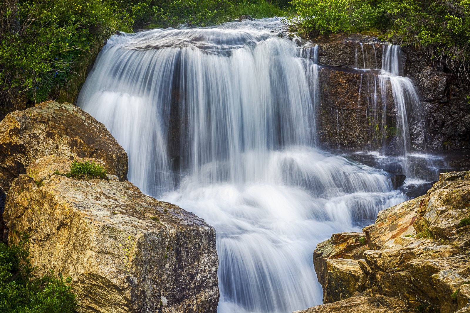 Let the Water Speak