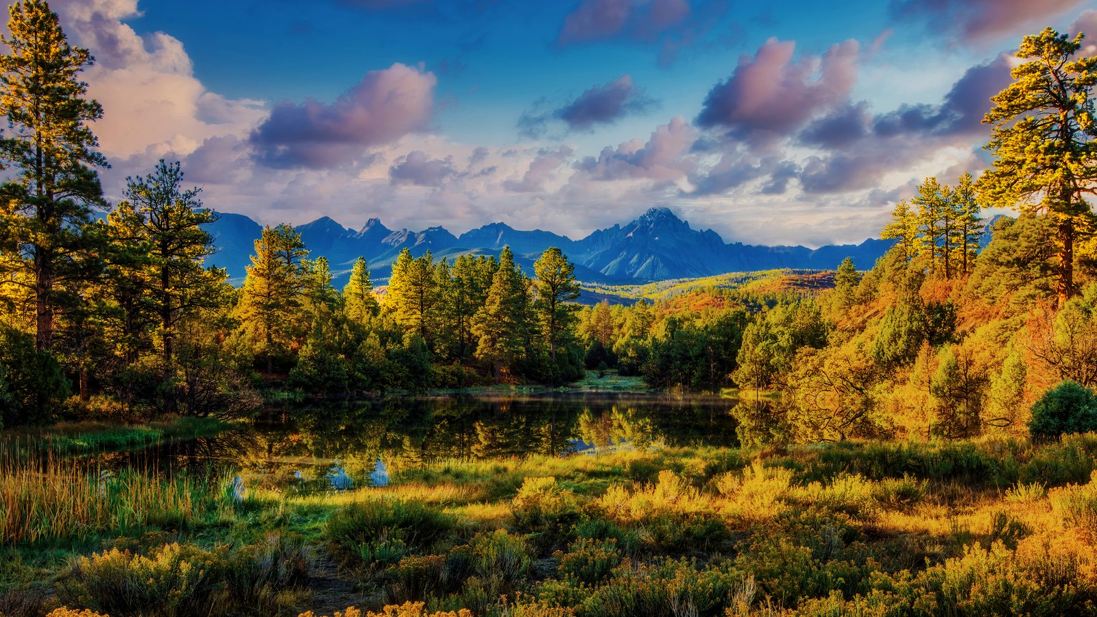 Gold Beneath the Wild