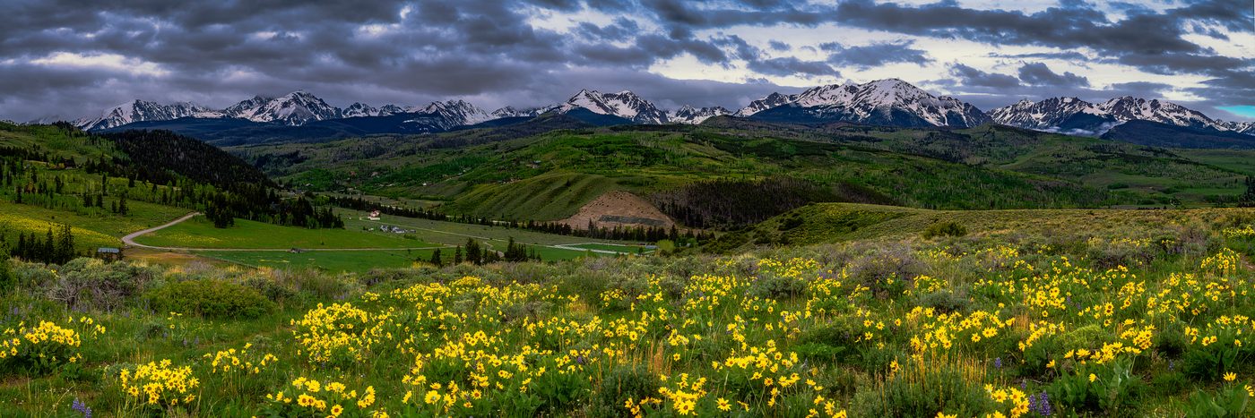 The Hills Come Alive in Gold