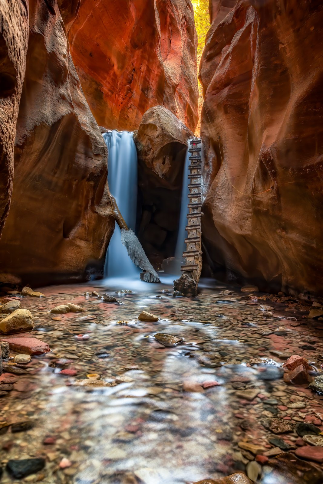 Where the Canyon Opens