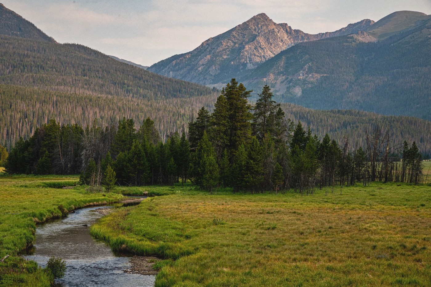 The Meadow Finds Its River