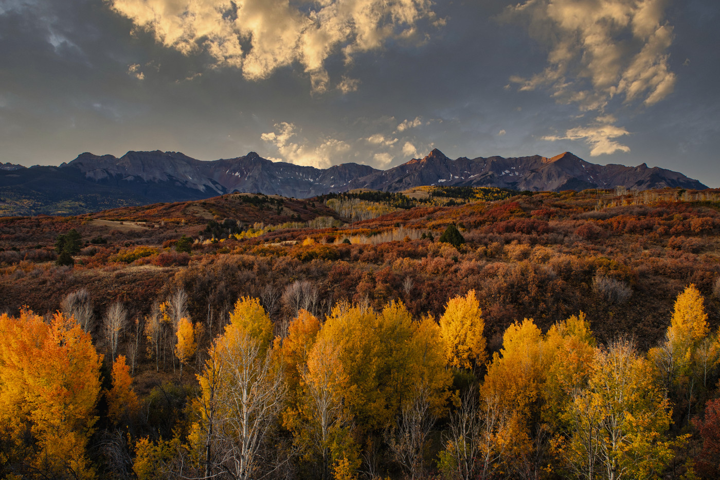 Gold Under a Heavy Sky
