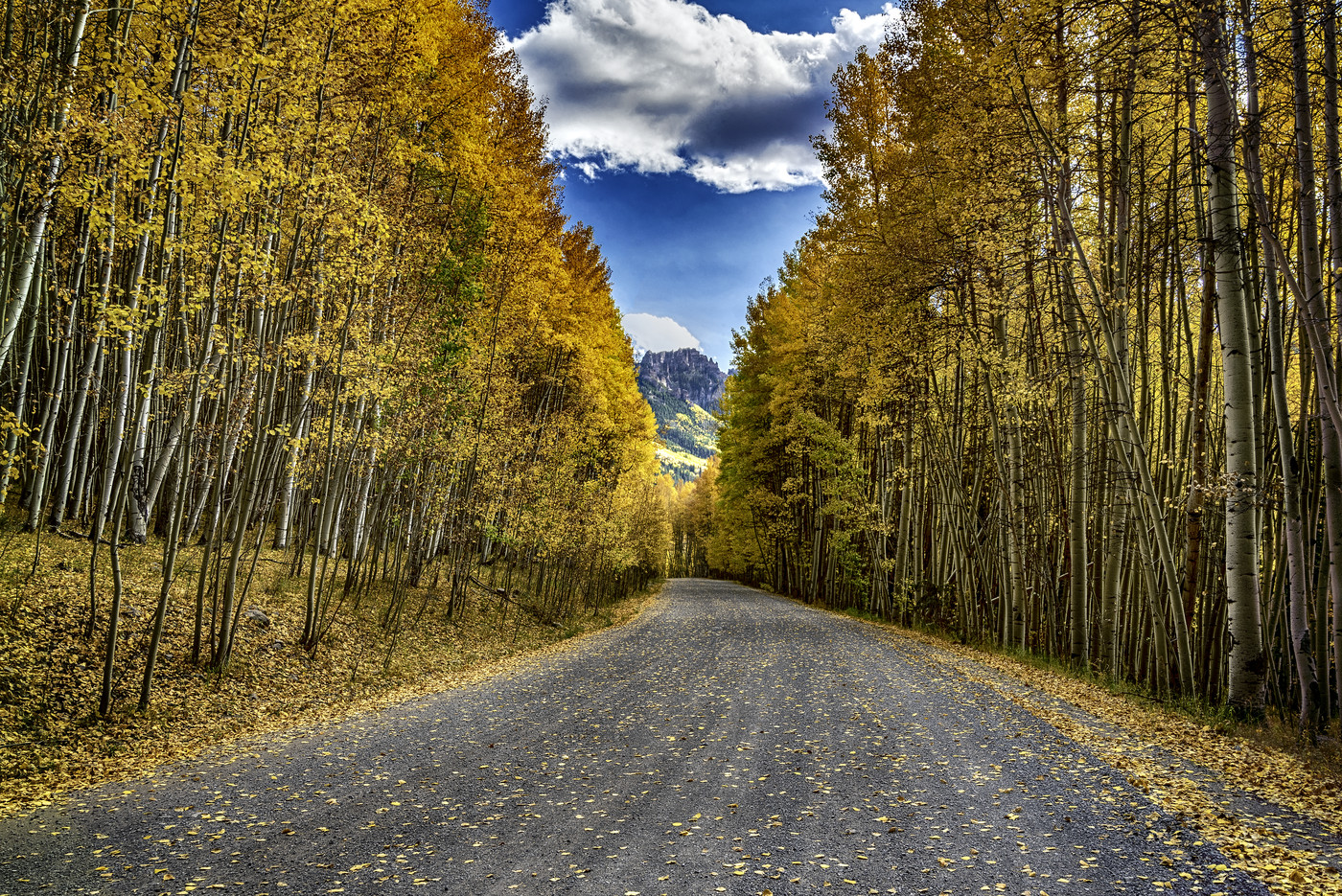 The Road Between the Yellow Trees