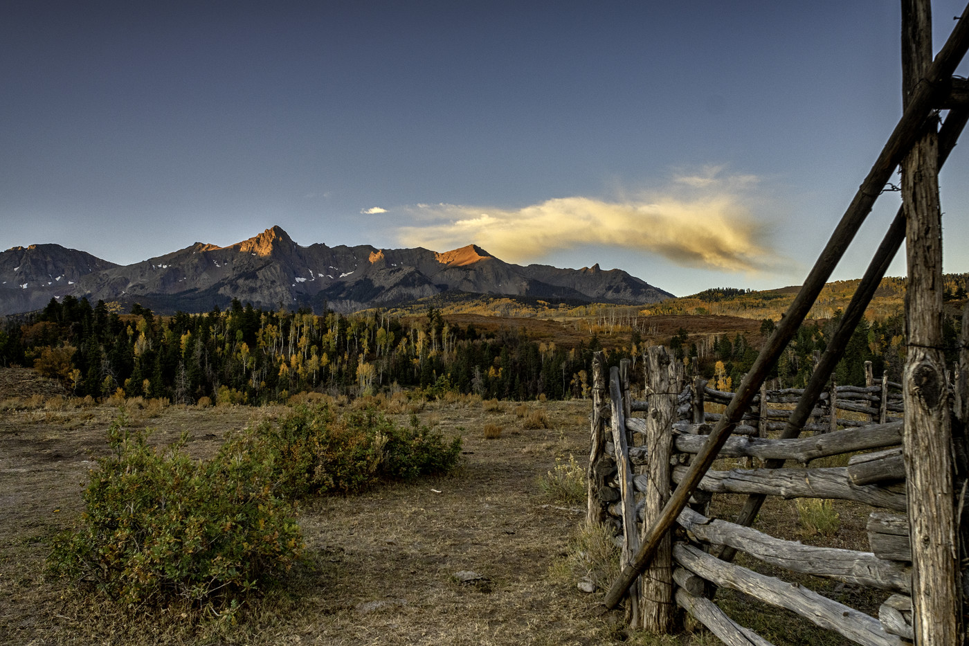 A Pole Fence in the Warm Light