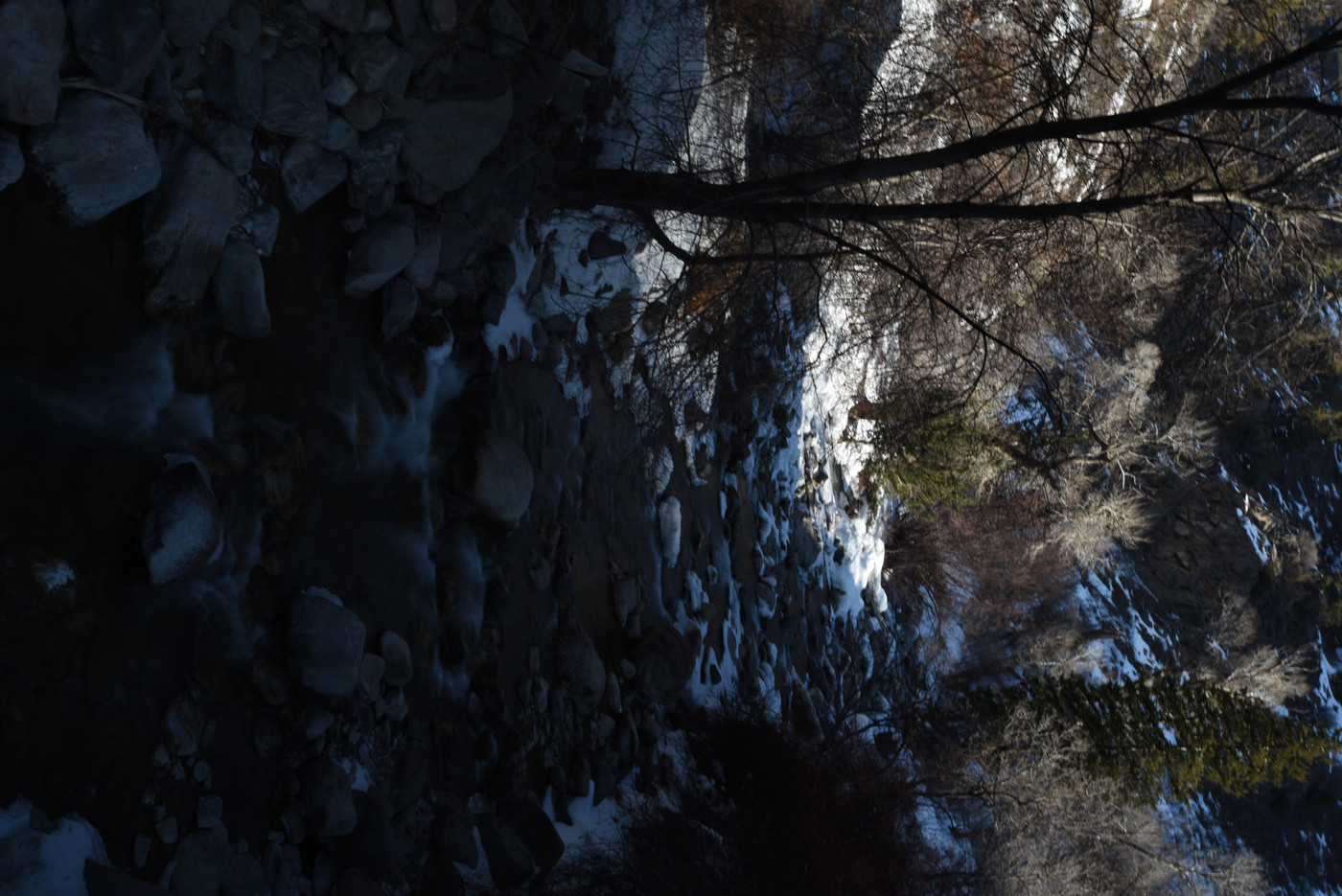 The Creek Under Bare Branches