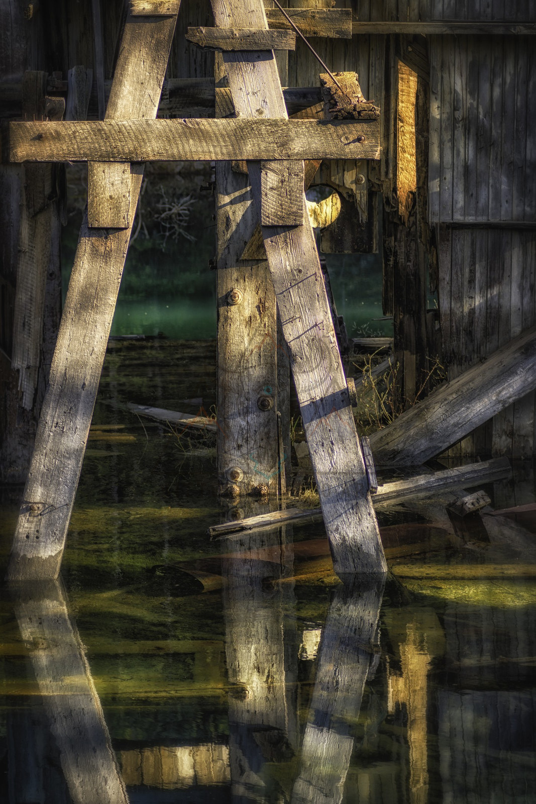 Posts Standing in the Water