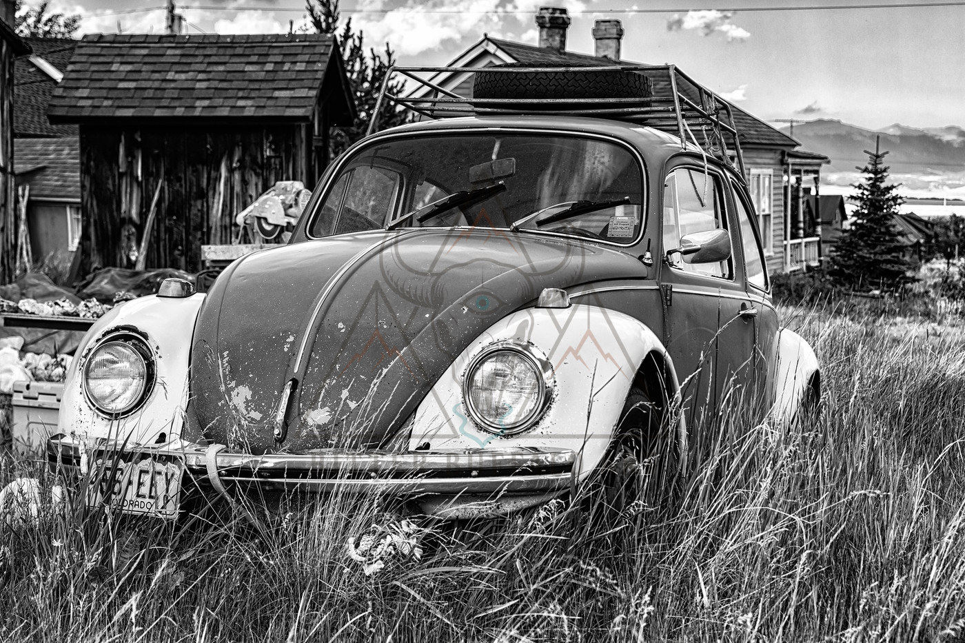 The Car in the Tall Grass