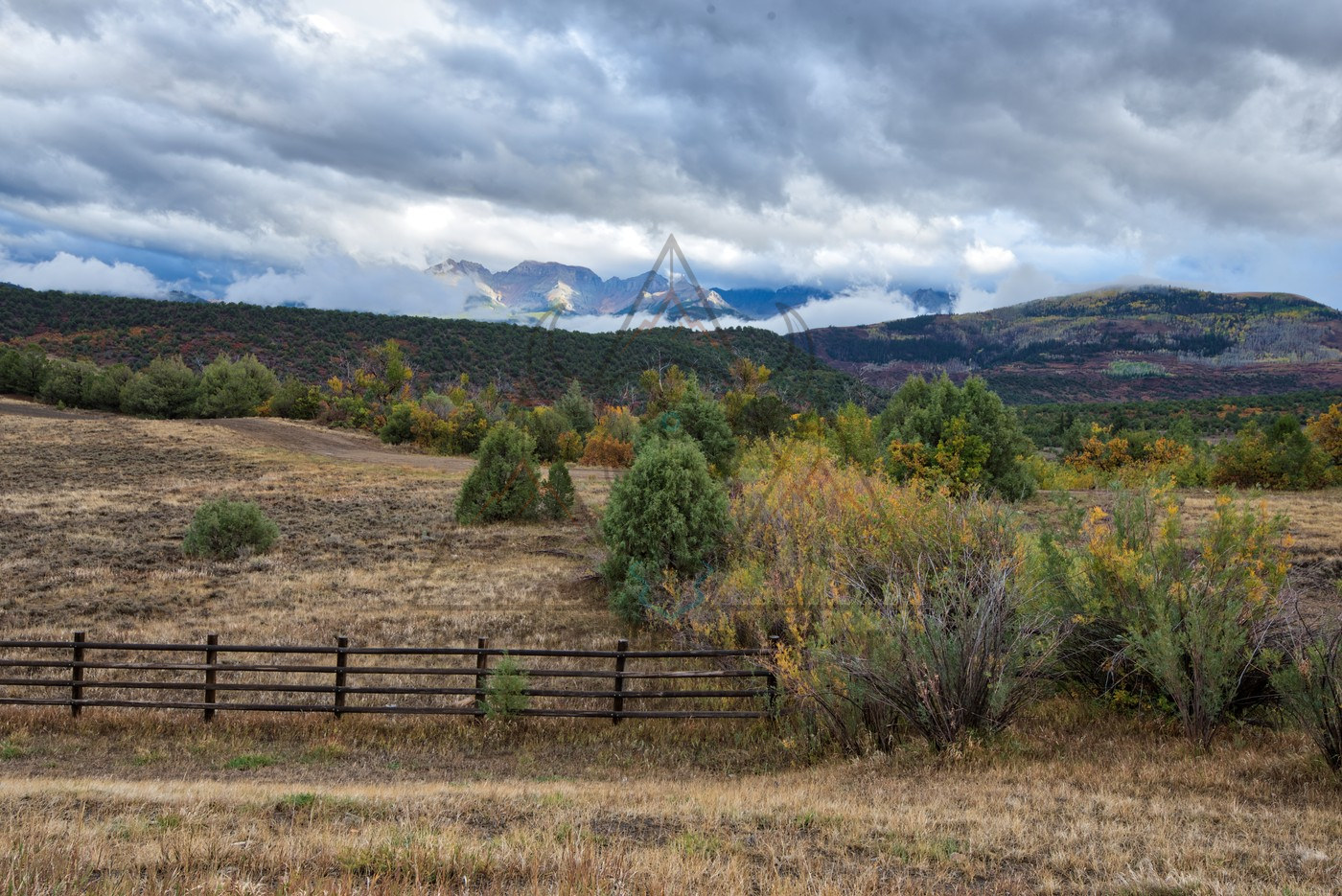 The Rail Fence in Dry Grass