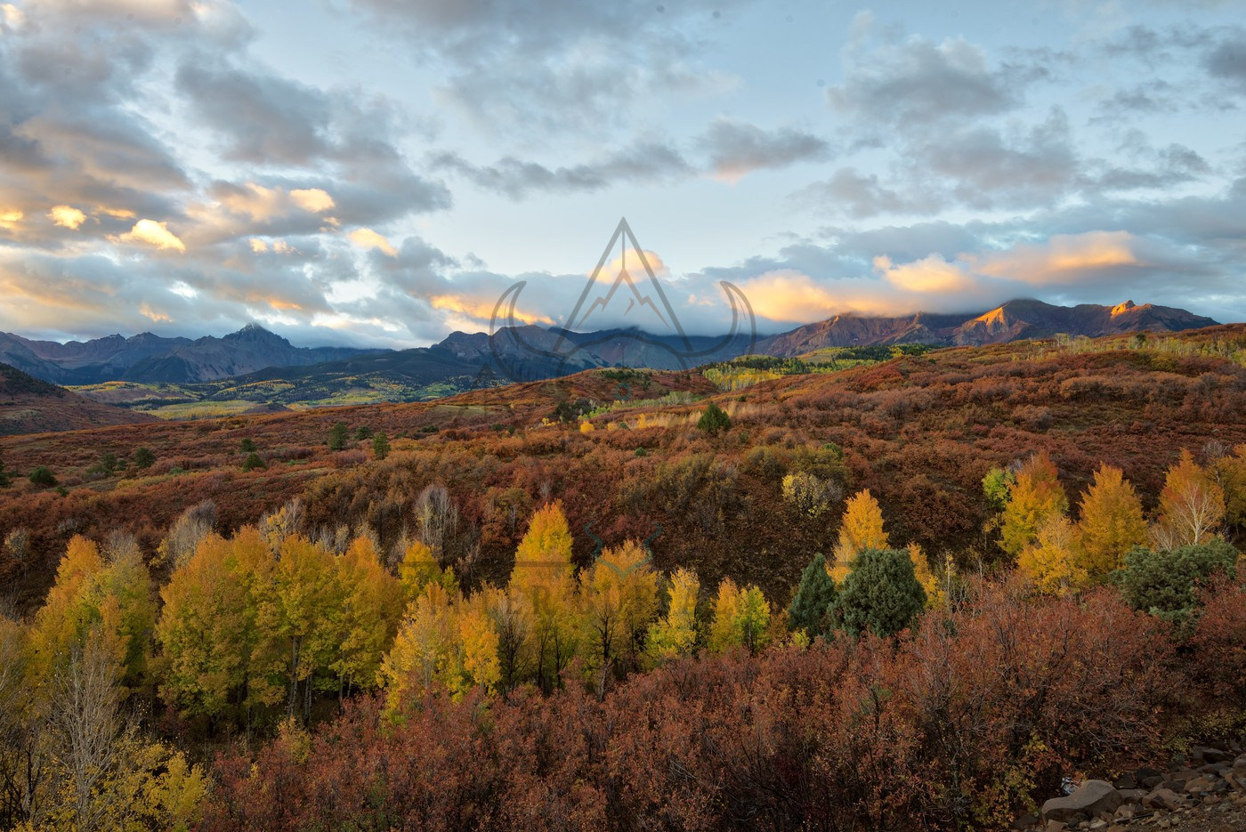Yellow Trees on the Hill