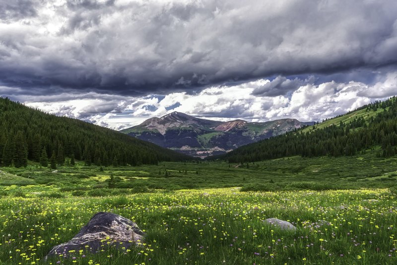 An alpine meadow of yellow and purple wildflowers leads toward a forested mountain valley under heavy grey storm clouds, with a large boulder at left.