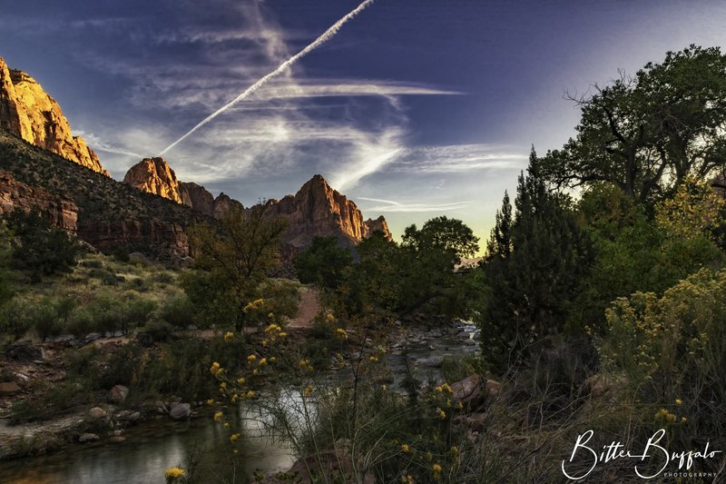 Warm evening light hits red rock peaks above a green valley and a shallow rocky river, with yellow brush in the foreground and a deep blue sky.