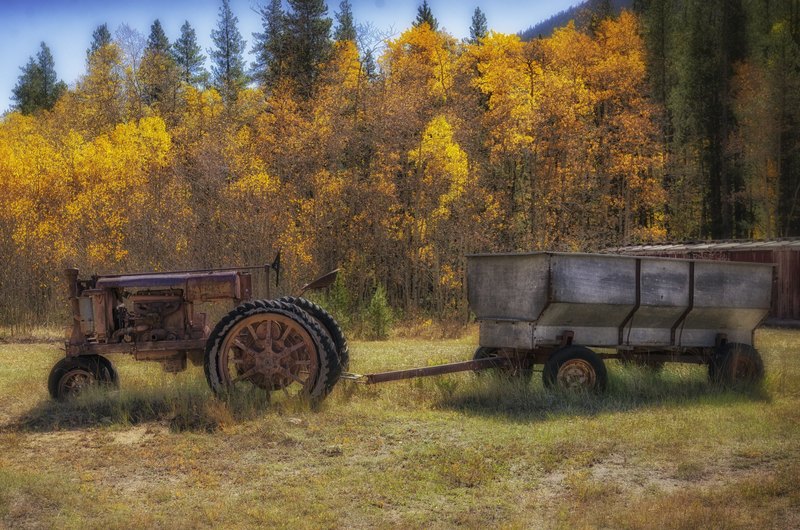 A rusted vintage tractor with metal-spoked wheels is hitched to a galvanized wagon in dry grass, backed by bright yellow autumn trees and dark pines.