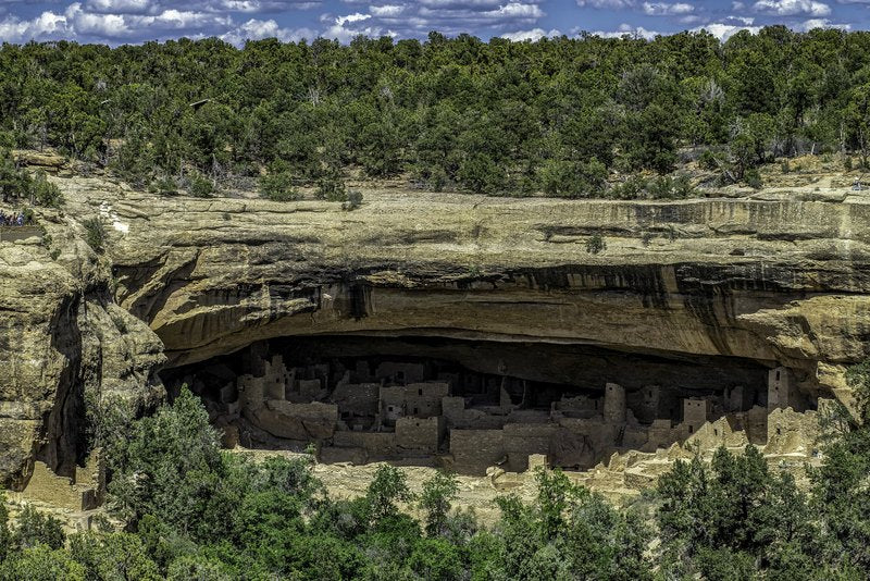 A multi-story stone dwelling complex fills a large sandstone alcove, with desert-varnished cliff above, woodland on the rim, and green trees in the foreground.