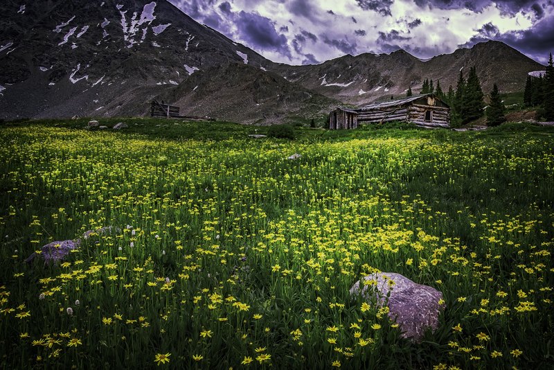 Two weathered log cabins sit above a meadow of yellow wildflowers and grey boulders, with snow-dusted peaks and dark storm clouds behind them.