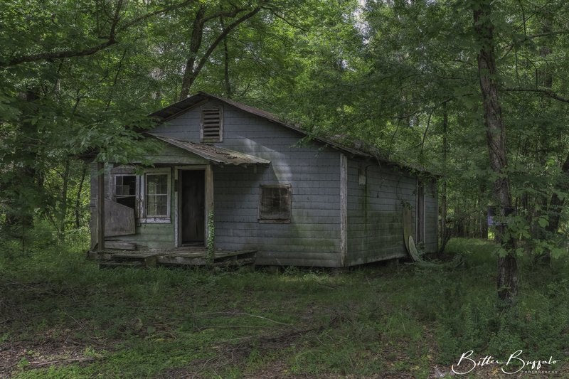 A weathered grey-green house with a sagging porch and dark doorway sits in dense green woods, with a no trespassing sign on a tree to the right.