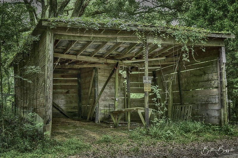 An open-front weathered wooden shed with missing planks and a vine-covered roof sits in a forest, with no trespassing signs on a post and a table inside.