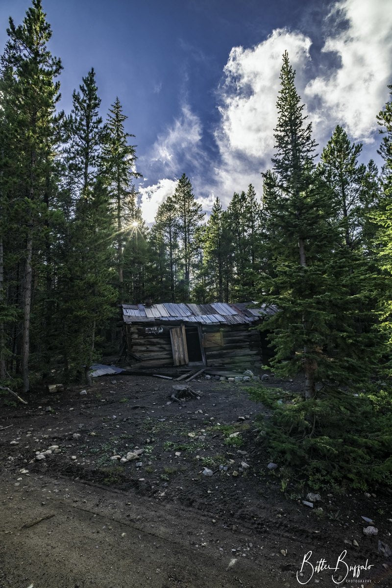 A weathered log cabin with a rusted metal roof stands in a pine forest, with a bright sunburst through the trees and a stump in the dirt clearing.